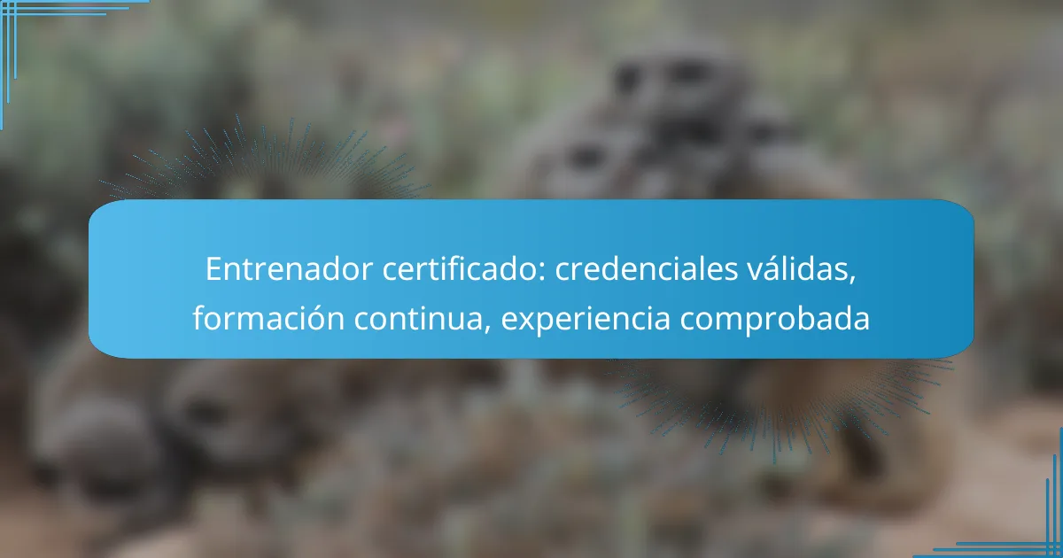 Entrenador certificado: credenciales válidas, formación continua, experiencia comprobada